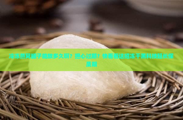 冷冻燕窝罐子能放多久啊