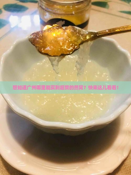 广州燕窝商城在哪个位置
