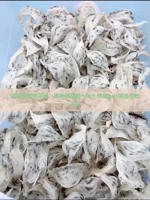鱼胶燕窝怎么选比较好