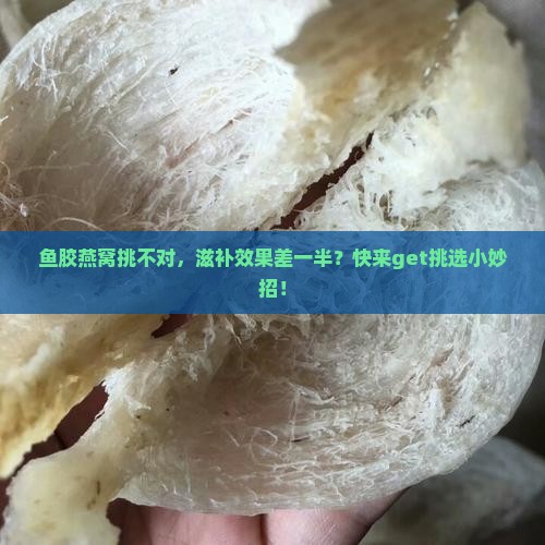 鱼胶燕窝怎么选比较好