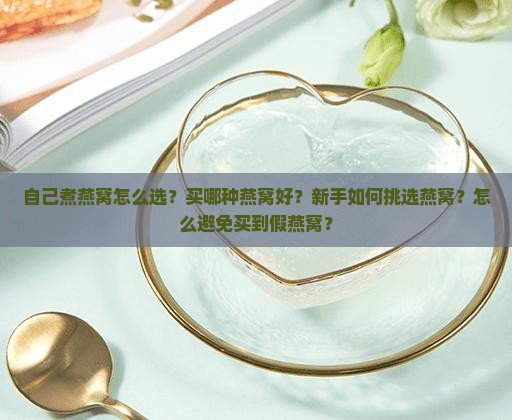 自己煮燕窝买什么好呢