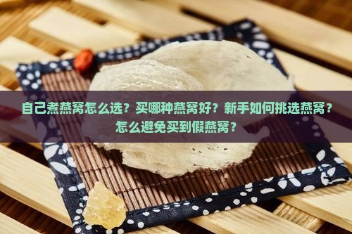 自己煮燕窝买什么好呢