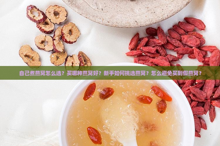自己煮燕窝买什么好呢