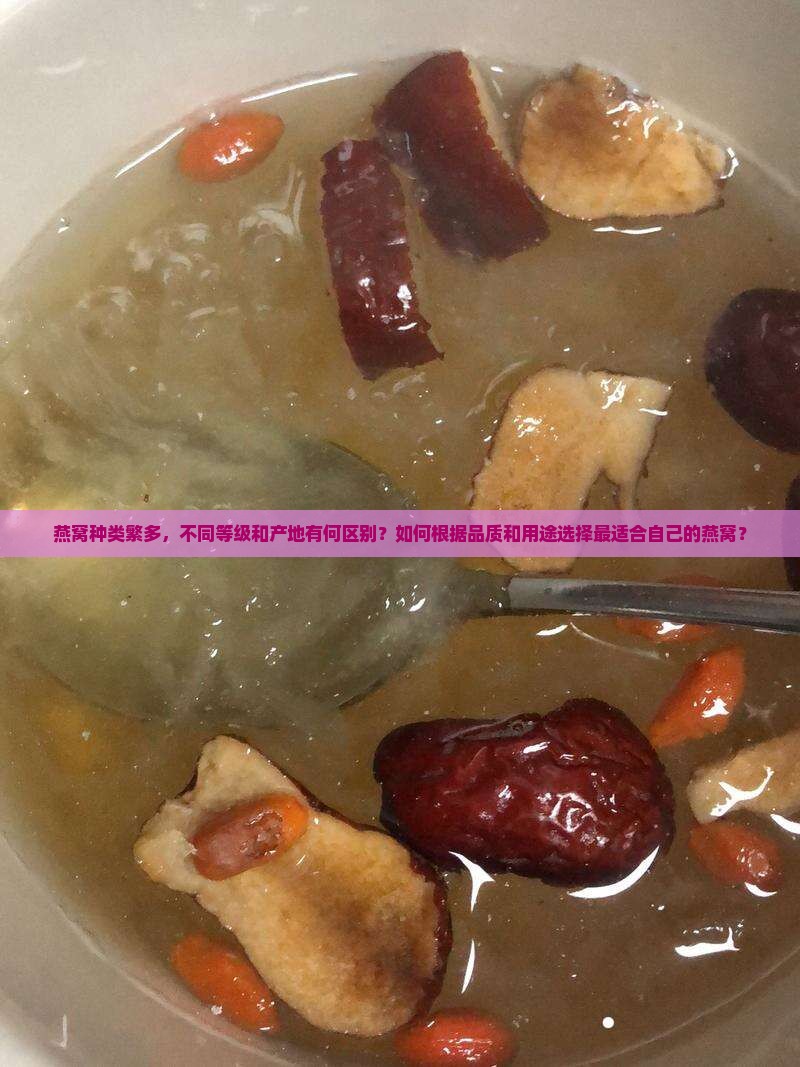 燕窝分类为什么那么多种