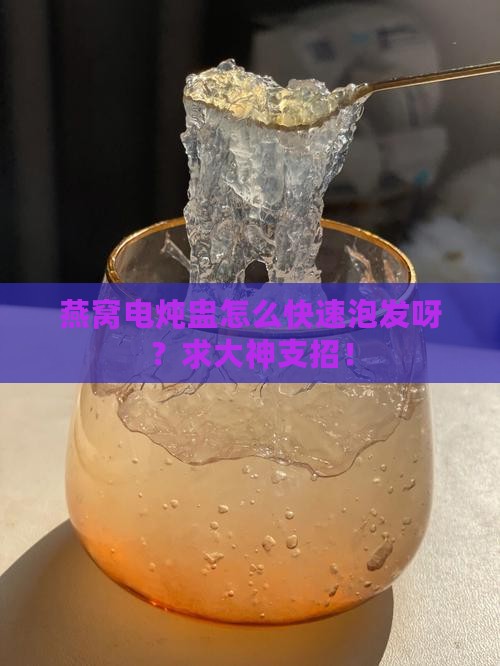 燕窝电炖盅怎么泡发快