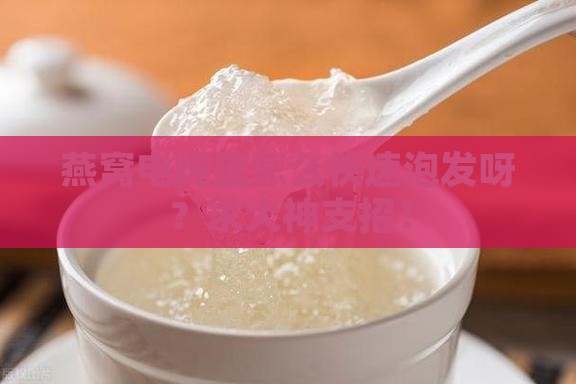 燕窝电炖盅怎么泡发快
