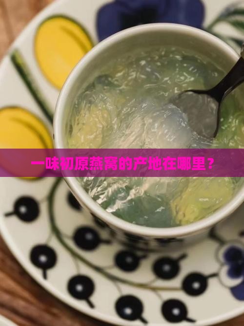 一味初原燕窝产自哪里