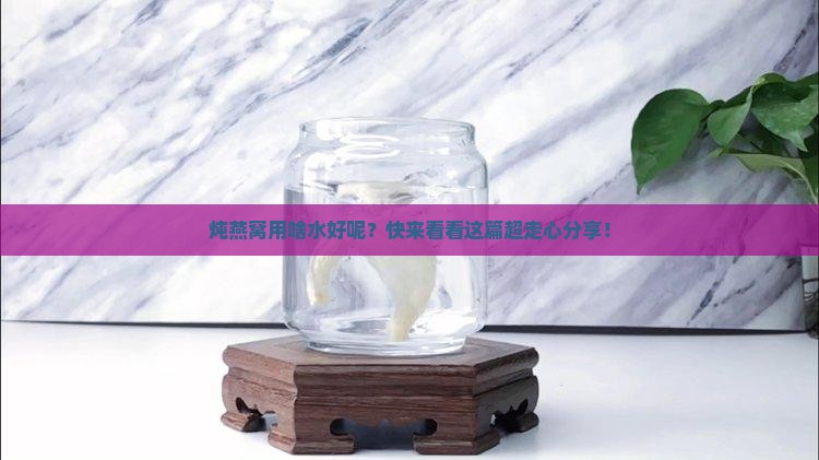 炖燕窝锅放什么水比较好