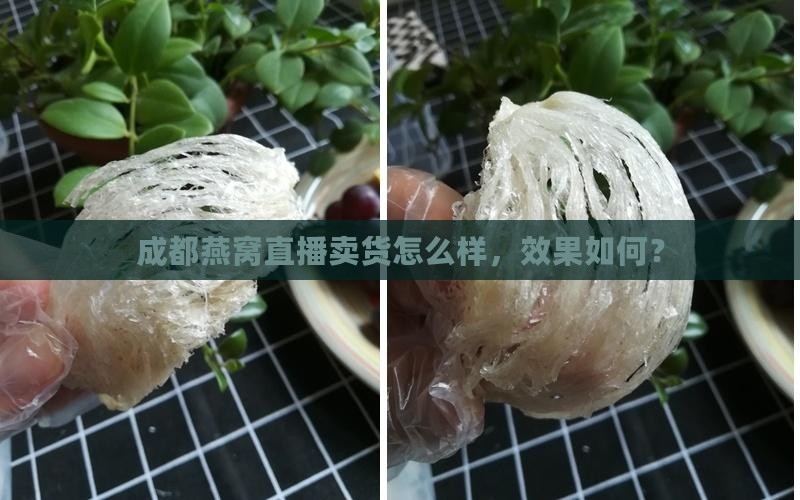 成都燕窝直播卖货怎么样