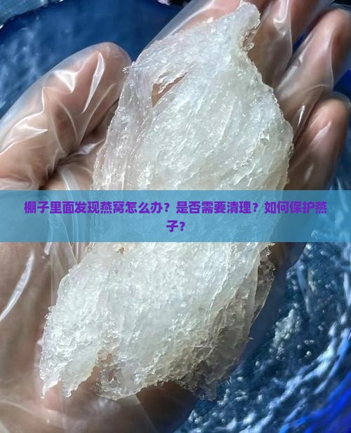 棚子里面有燕窝怎么办