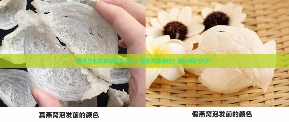 棚子里面有燕窝怎么办