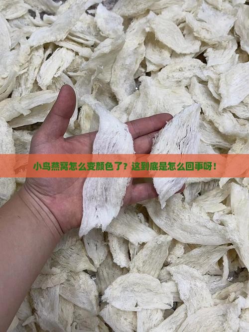 小鸟燕窝变色怎么回事儿