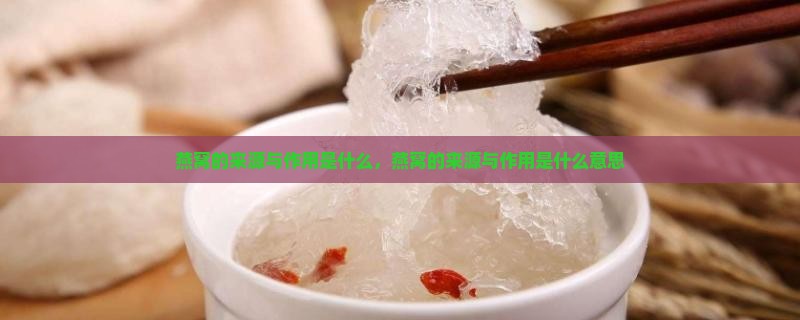 燕窝的来源与作用是什么
