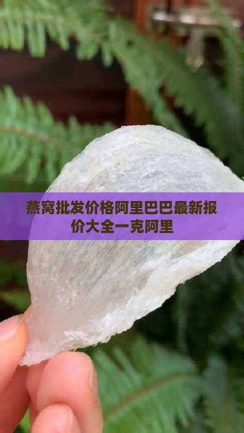 燕窝大条每克多少钱一袋 燕窝大条每克多少钱一袋