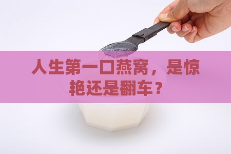 人生第一口燕窝怎么样