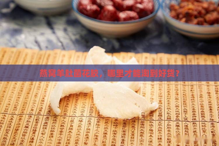 燕窝羊肚菌花胶哪里有卖