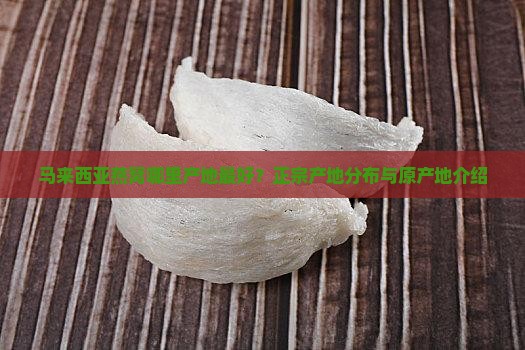 马来西亚燕窝哪里产地