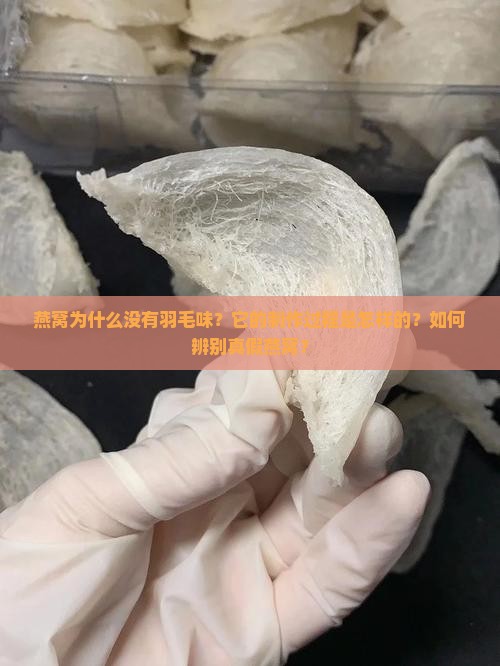 燕窝怎么能没羽毛味呢