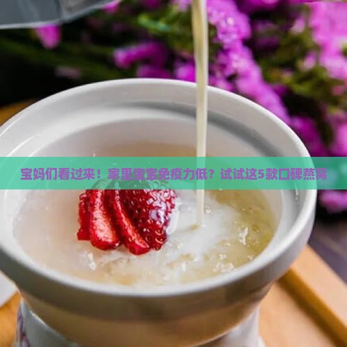 网上什么燕窝好卖一点的