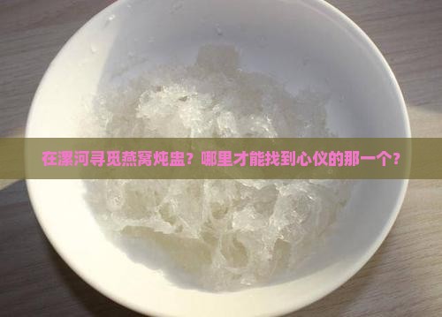 漯河哪里有卖燕窝的炖盅