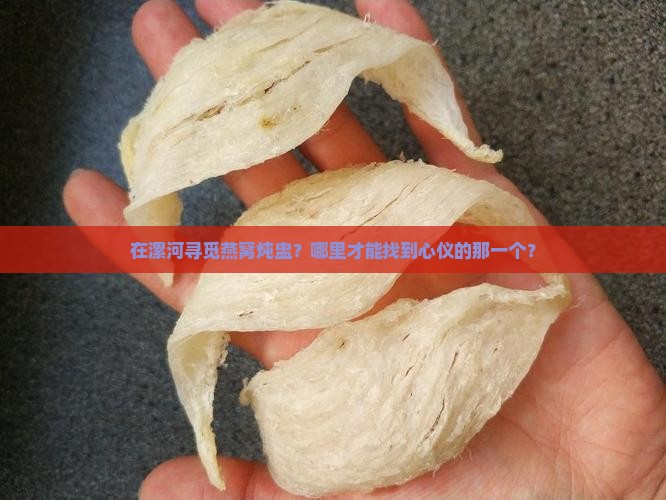 漯河哪里有卖燕窝的炖盅