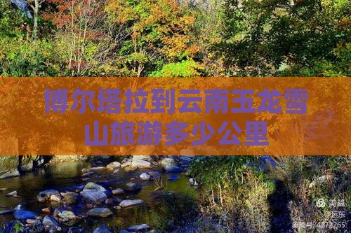 博尔塔拉到云南玉龙雪山旅游多少公里