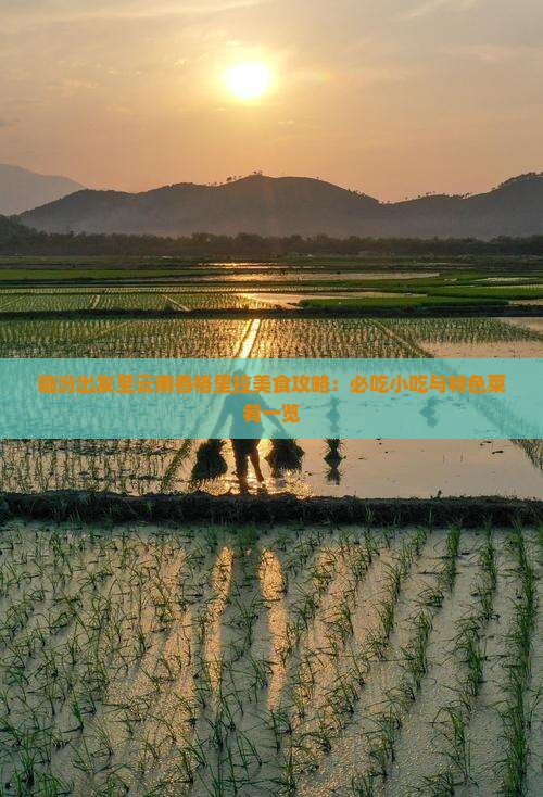 临汾出发至云南香格里拉美食攻略：必吃小吃与特色菜肴一览