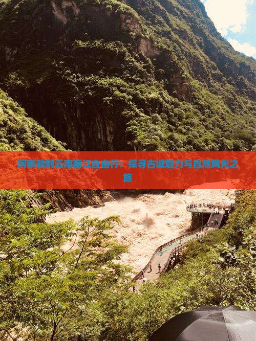 阿泰勒到云南丽江自由行：探寻古城魅力与自然风光之旅