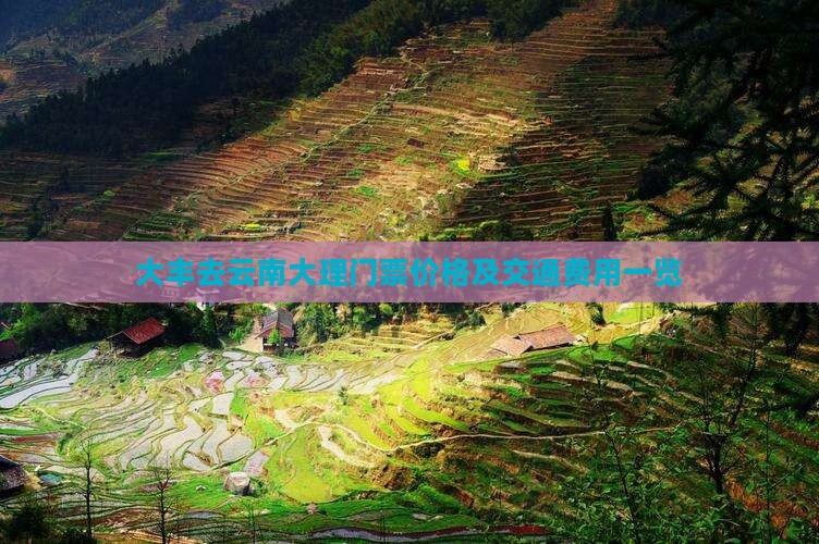 大丰去云南大理门票价格及交通费用一览