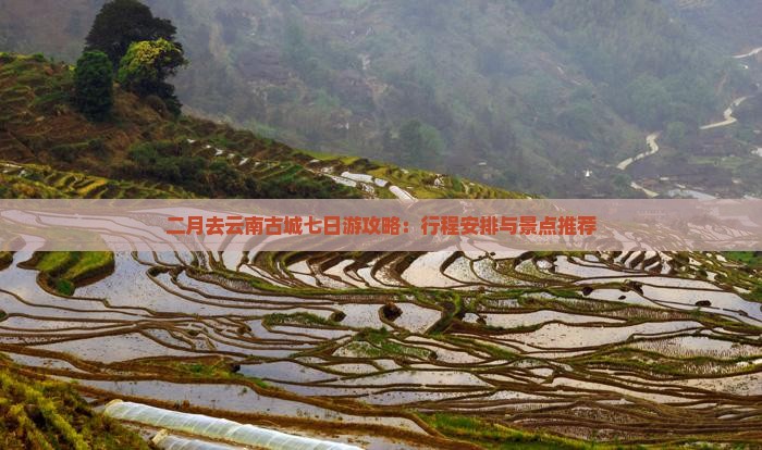 二月去云南古城七日游攻略：行程安排与景点推荐