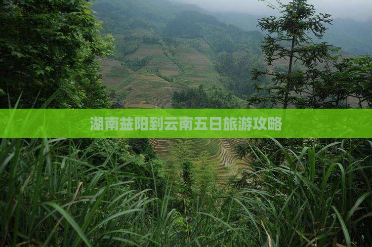 湖南益阳到云南五日旅游攻略