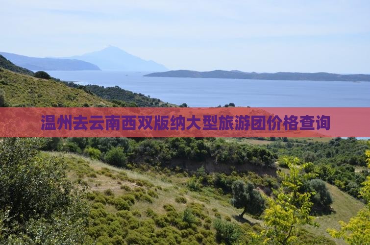 温州去云南西双版纳大型旅游团价格查询