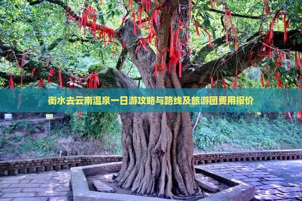 衡水去云南温泉一日游攻略与路线及旅游团费用报价