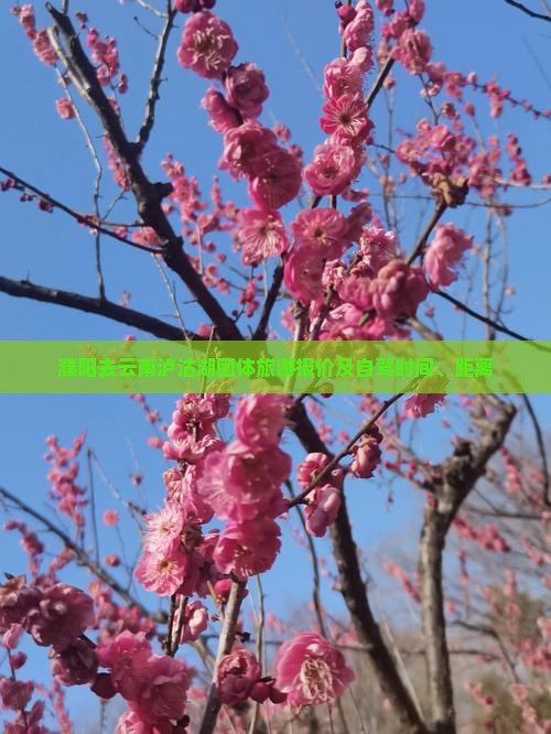 濮阳去云南泸沽湖团体旅游报价及自驾时间、距离