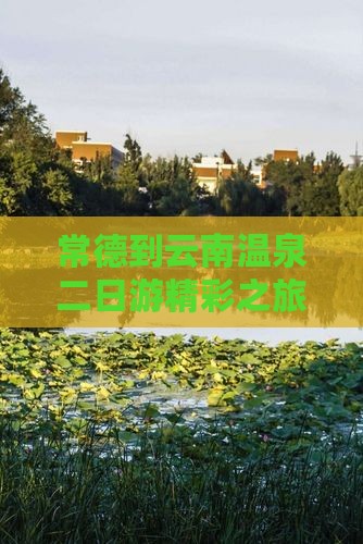 常德到云南温泉二日游精彩之旅
