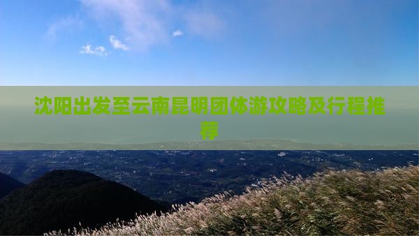 沈阳出发至云南昆明团体游攻略及行程推荐