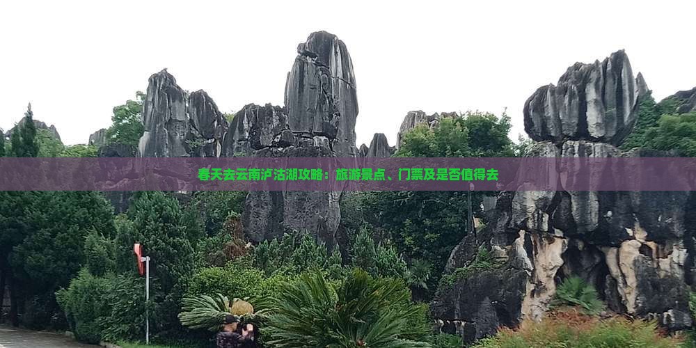 春天去云南泸沽湖攻略：旅游景点、门票及是否值得去