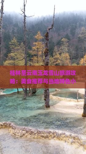 桂林至云南玉龙雪山旅游攻略：美食推荐与当地特色小吃