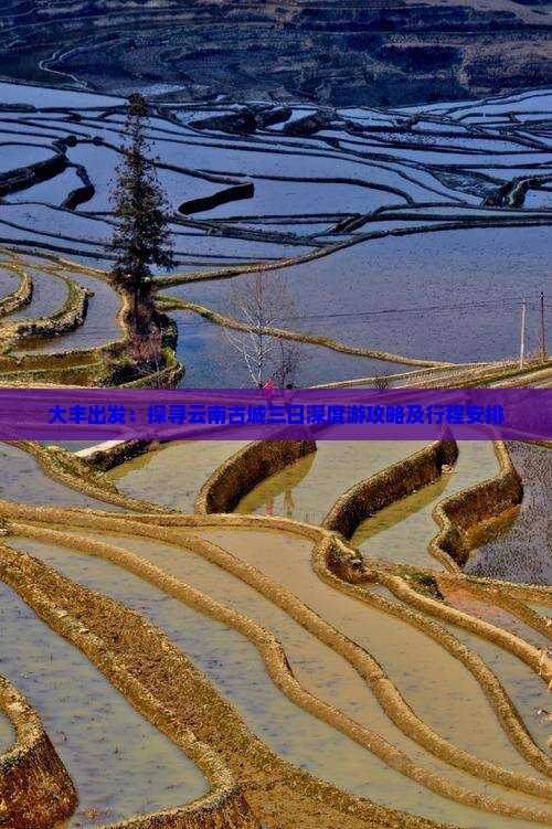 大丰出发：探寻云南古城三日深度游攻略及行程安排