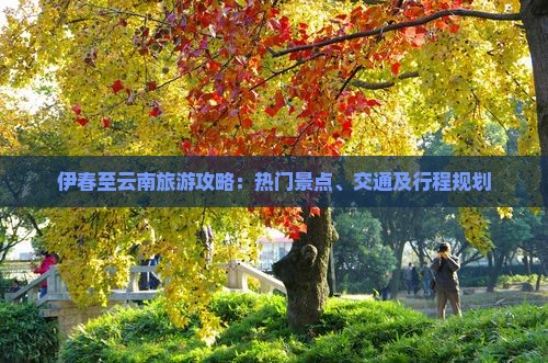 伊春至云南旅游攻略：热门景点、交通及行程规划
