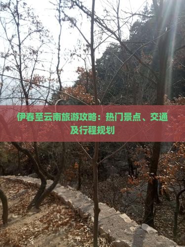 伊春至云南旅游攻略：热门景点、交通及行程规划
