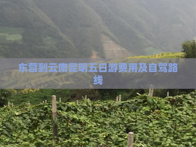 东营到云南昆明五日游费用及自驾路线
