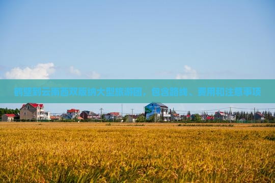 鹤壁到云南西双版纳大型旅游团，包含路线、费用和注意事项