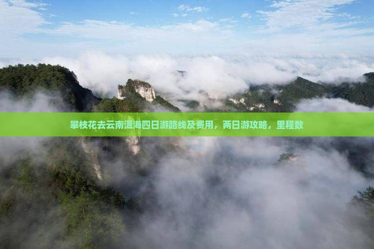 攀枝花去云南洱海四日游路线及费用，两日游攻略，里程数