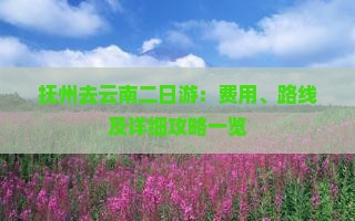抚州去云南二日游：费用、路线及详细攻略一览