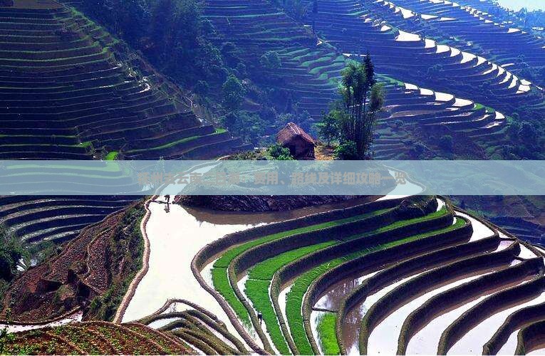 抚州去云南二日游：费用、路线及详细攻略一览