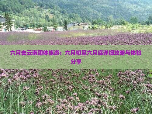 六月去云南团体旅游：六月初至六月底详细攻略与体验分享