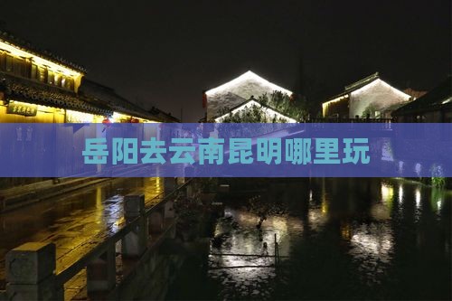 岳阳去云南昆明哪里玩