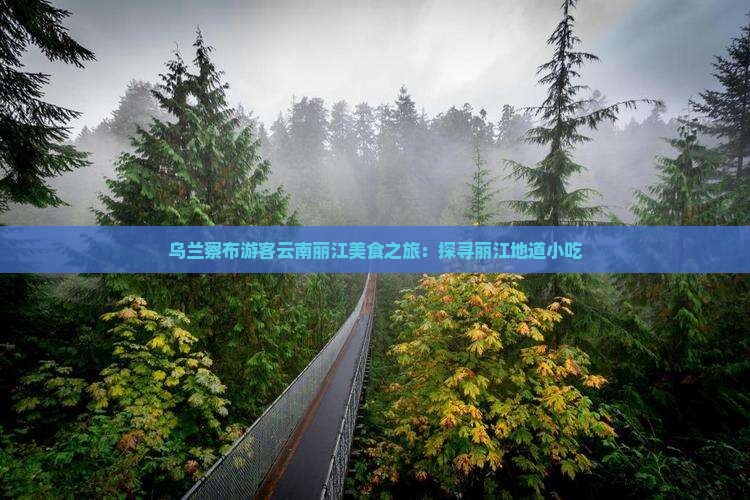 乌兰察布游客云南丽江美食之旅：探寻丽江地道小吃