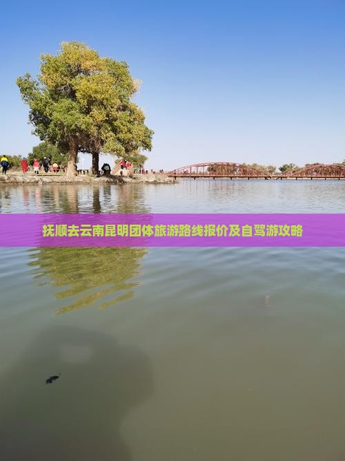 抚顺去云南昆明团体旅游路线报价及自驾游攻略